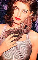 twinkle5.jpg (23933 bytes)